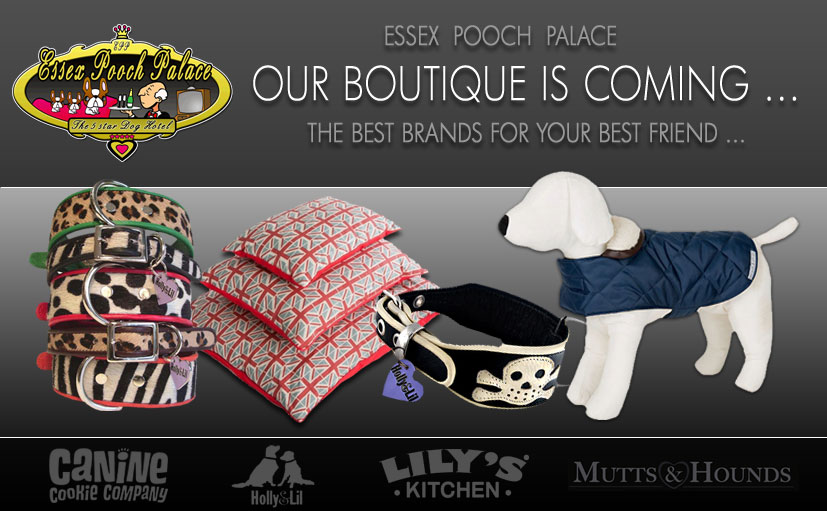 Essex Pooch Palace Luxury Dog Boarding Kennels