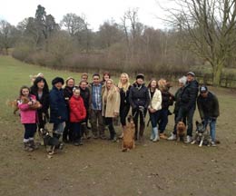 dog boarding services