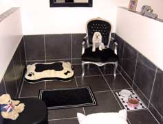 inside boarding kennel