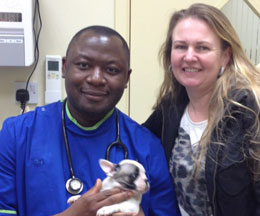 vet pooch palace essex